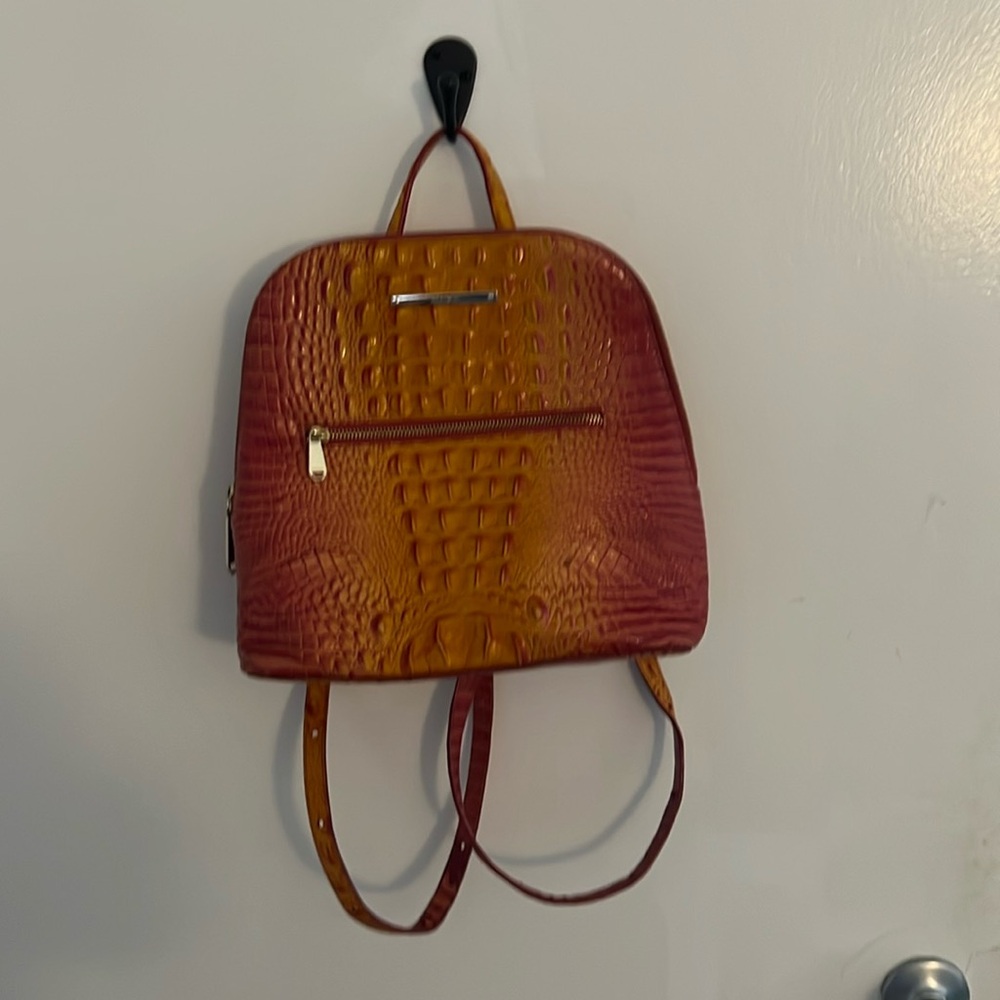 Brahmin Chelcy book bag with wallet